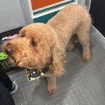 imagen de whatsapp 2025 10 16 a las 12.47.32 422195d5