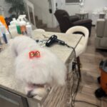 imagen de whatsapp 2025 10 16 a las 12.47.32 91b87f68