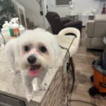 imagen de whatsapp 2025 10 16 a las 12.47.32 bf67c0e5