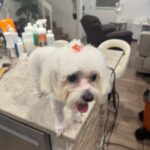 imagen de whatsapp 2025 10 16 a las 12.47.32 c2f1ec68