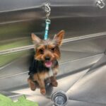 imagen de whatsapp 2025 10 16 a las 12.47.32 f5e8a1f1