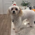 0990b709 fa6c 46f9 af2a 3353fa06c6b2