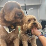 35f34c4b 4d9c 4779 b606 b2573e1894b5