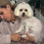 54a7a0d8 fec8 48bf 8900 7602f383e1ee