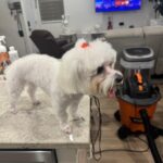 5de2fb89 e4d1 4db4 9586 d7f6d55f87b6