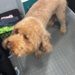 744126ec 0d0e 48da 90a3 2c191d58aaa1