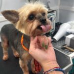 8be879bf 2275 4ef7 88c8 767720dc59c0