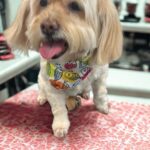 bb6f1b66 de58 4b2c 8f4d 39f1e1478e8a