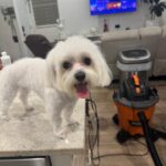 e4489267 07ef 4bf5 9f02 c87b423a2ecc