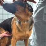 e8c4db8e 0bf7 407f 9646 f71e0751f325