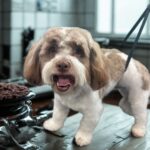 f3324848 5a96 480f 89ae e87b4a920001